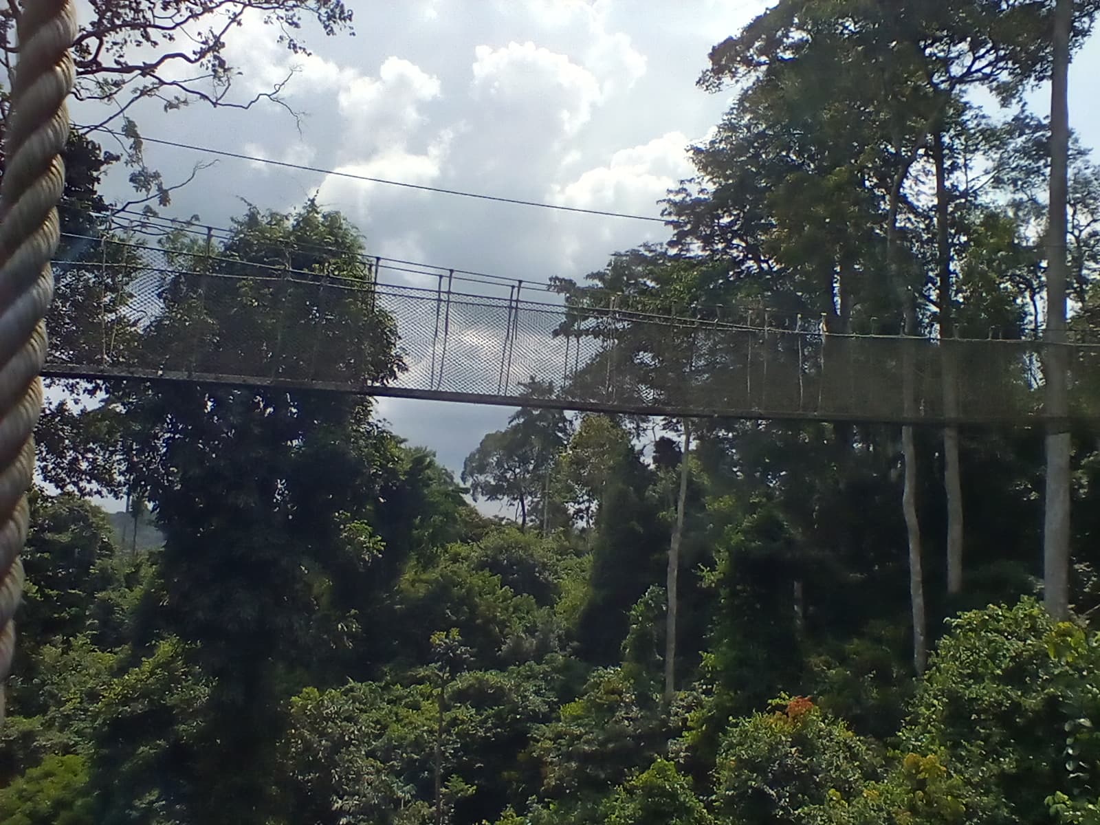 Kakum Canopy Walk