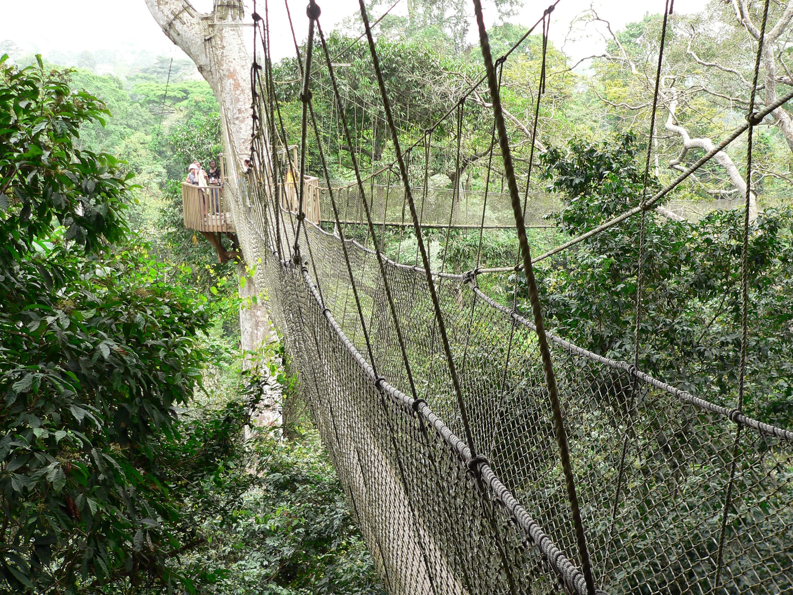 Kakum Canopy Walk